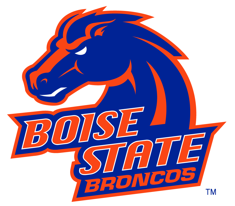 Boise State Broncos 2002-2012 Secondary Logo v24 diy DTF decal sticker